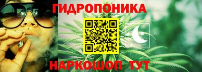 ПСИЛОЦИБИНОВЫЕ ГРИБЫ Краснодар