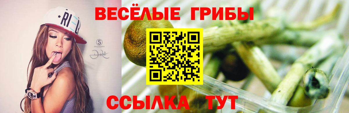 Усть-Илимск  Галлюциногенные грибы ЛСД  цена   Псилоцибиновые грибы GOLDEN TEACHER  Вход с VPN 